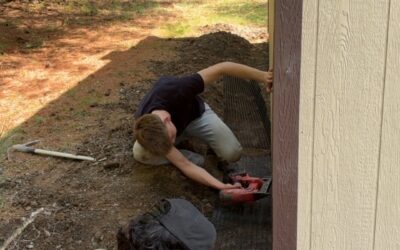 The Permanent Fix: Why Traditional Trapping Fails Without Professional Wildlife Exclusion